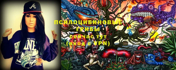 Альфа ПВП Бородино
