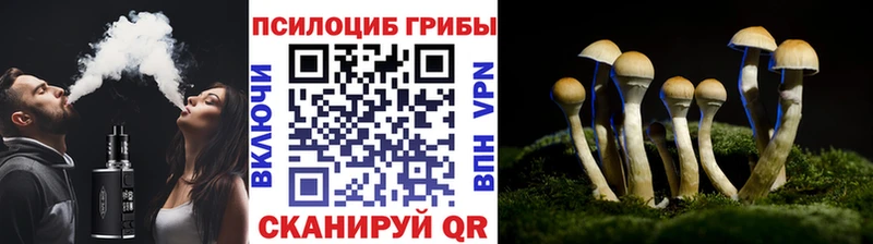 Галлюциногенные грибы ЛСД  Свободный 