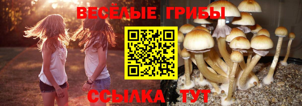 Псилоцибиновые грибы MAGIC MUSHROOMS Свободный